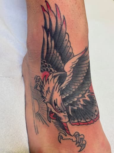 🦅 Aquila 🦅