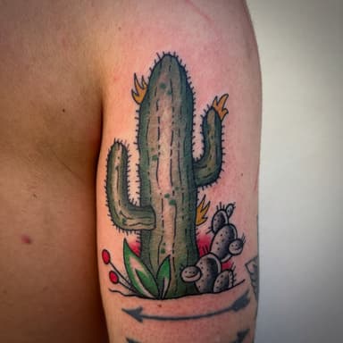 🌵 DON’T TOUCH ME 🌵